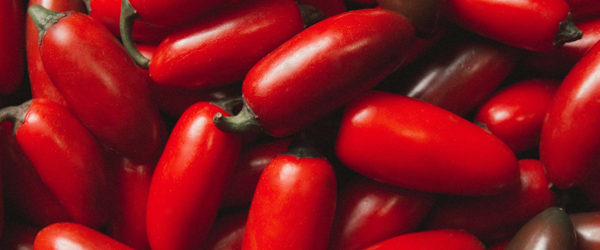 San Marzano Tomaten